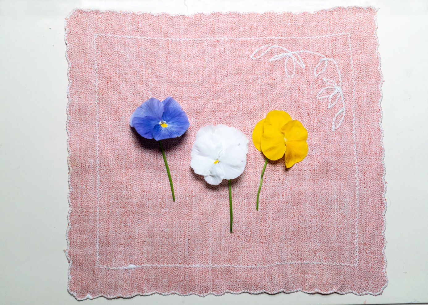 Flowers of Caucasus