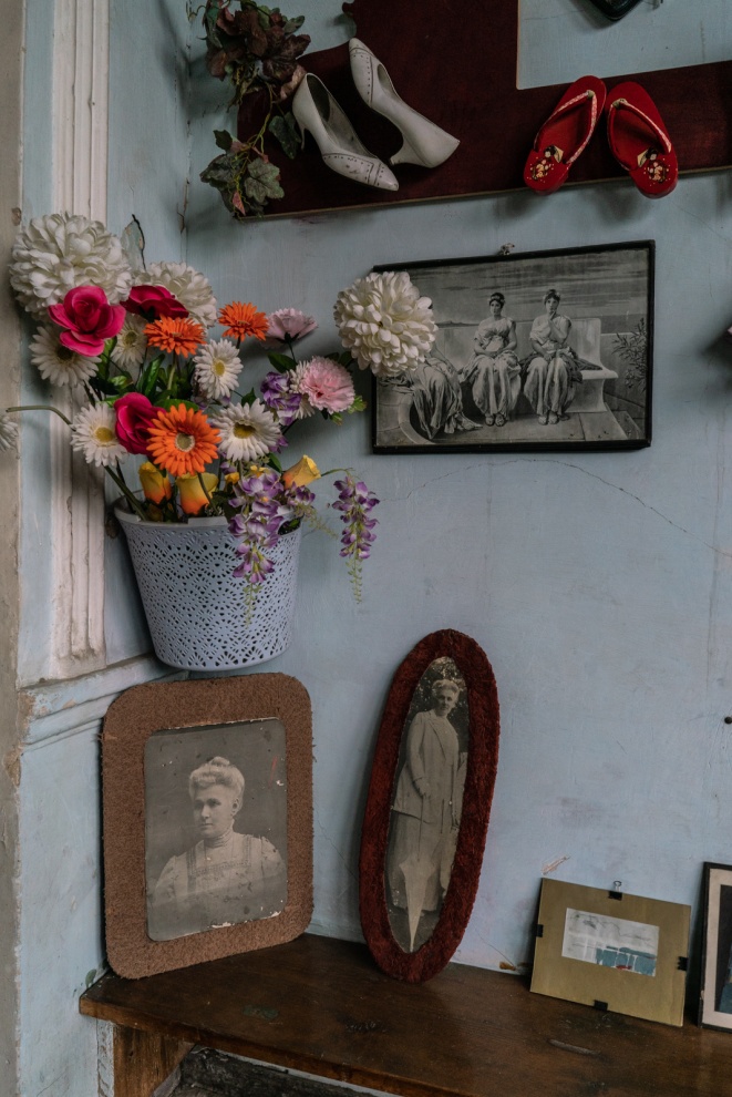 Flowers of Caucasus