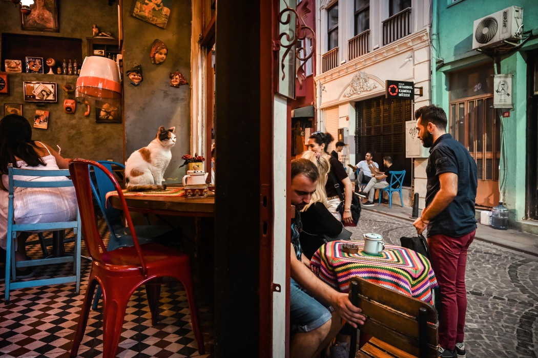 The Naftalin K coffee, also known as the Cats' coffee, is located in Fener, one of the most creative and colorful neighborhoods in Istanbul
Il cafè Naftalin K, noto anche come il cafè dei Gatti, si trova a Fener, uno dei quartieri più creativi e colorati di Istanbul 

