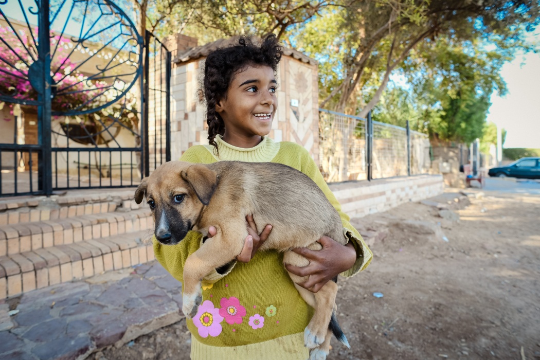  A Bedouin girl holds a stray puppy that lives on the street in front of her house.