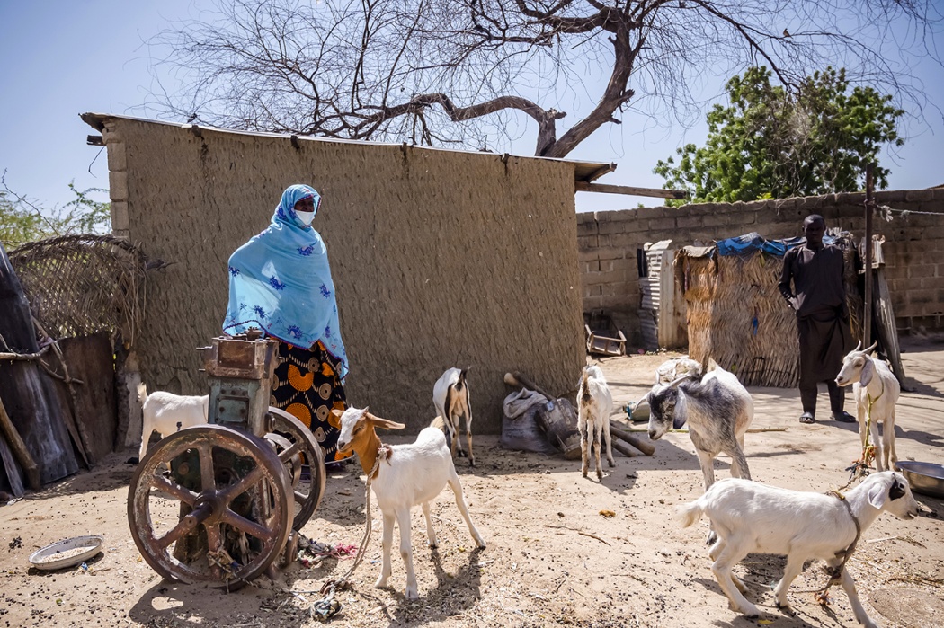 Biography of the Forgotten - A woman with her goats in Monguno city.
In Monguno, many NGOs work to treat acute malnutrition in communities by giving beneficiaries livestokes.